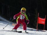 20140215_Vereinsriesenslalom_025.jpg
